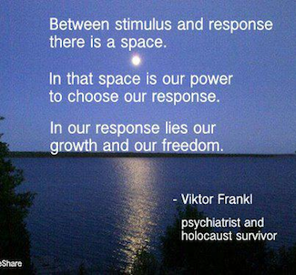 278171615-Frankl-quote-2
